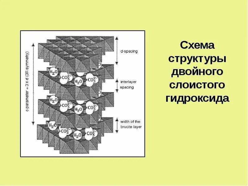 Двойственное строение 7