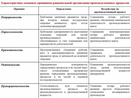 Характеристика производства пример