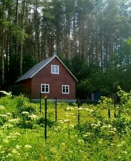 Дачи александровой