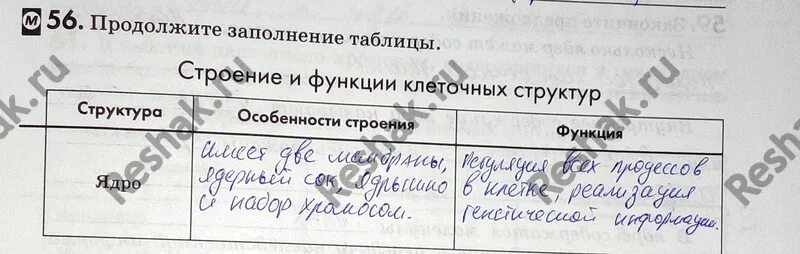 Используя карту продолжите заполнение таблицы. Соседи россии 9 класс география. Школа географа исследователя 8 класс главные типы почв. Используя текст учебника продолжите заполнение таблицы. Используя карту продолжите заполнение таблицы.