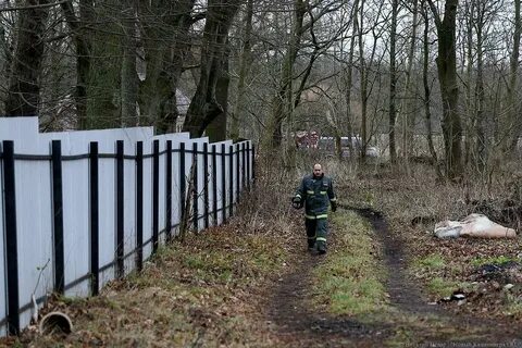 Погода сегодня ладушкин
