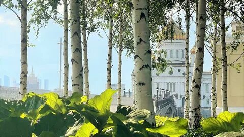 Погода зеленый московская область