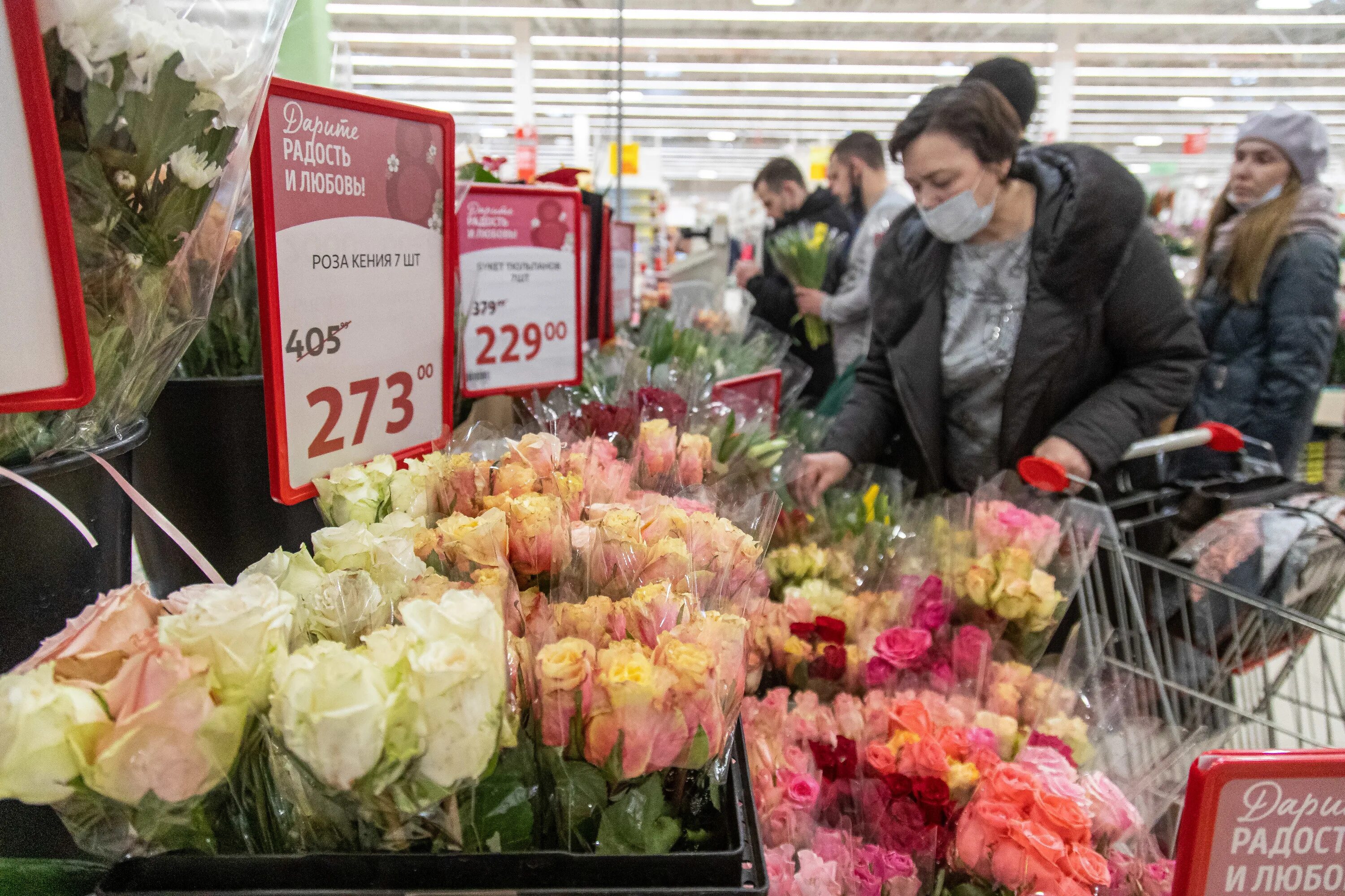 Тюльпаны ашан 2022 луковицы. Ашан цветы. Тюльпаны выкладка. Тюльпаны в марии ра. Тюльпаны ашан 2022.