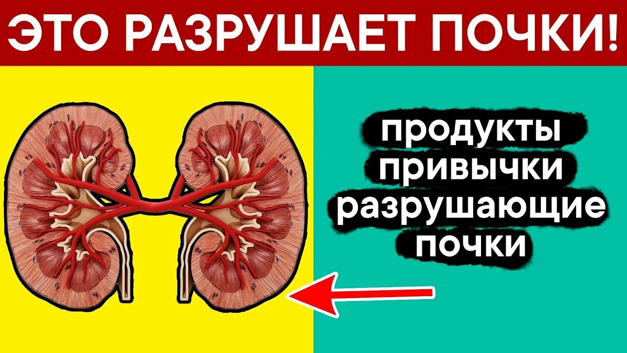 Полезная пища для почек. Продукты вредные для почек. Вредная еда для почек. Продукты разрушающие почки. Почки и сладость