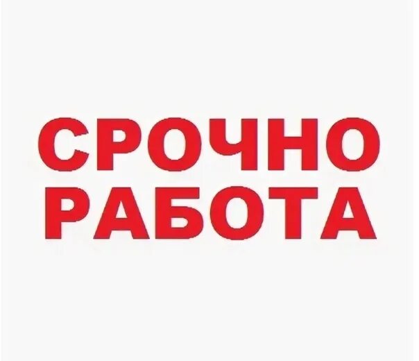 Срочно работа. Работа в Питере. Срочно работа в СПБ. Срочная вакансия. Ищу работу в спб от прямых работодателей