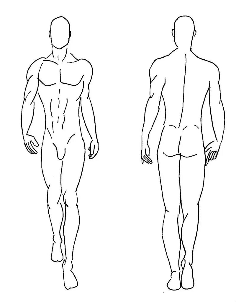 Тип рисования человека. Эскиз тела. Мужская фигура рисунок. Набросок мужского тела. Мужская фигура для рисования.
