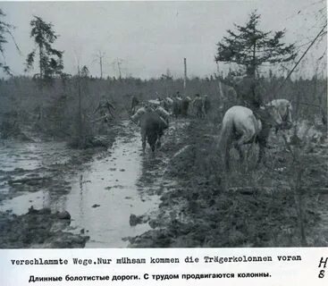 Болота вов