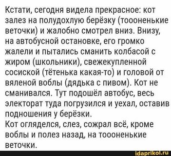 И кстати текст