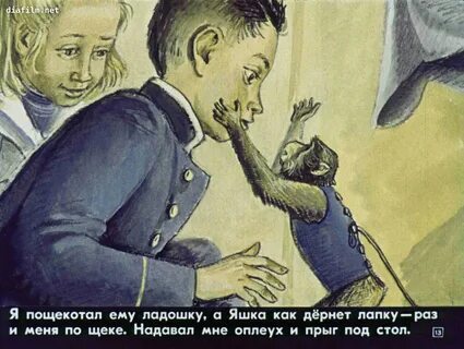 Обезьянка рассказ житкова