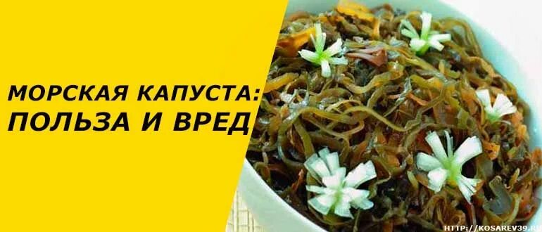 Морская капуста польза для мужчин. Морская капуста полезна. Морская капуста польза и вред. Вред морской капусты. Чем полезна морская капуста.