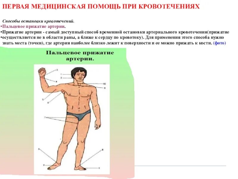 Способы остановки кровотечения пальцевое прижатие артерии. Точки прижатия артерий к кости при артериальном кровотечении. Пальцевое прижатие артерий к кости при артериальном кровотечении. Точки пальцевого прижатия артерий. Места прижатия артерий при кровотечениях.