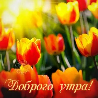 Побольше ярких дней