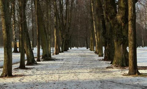 Пушкино парк 3 рим