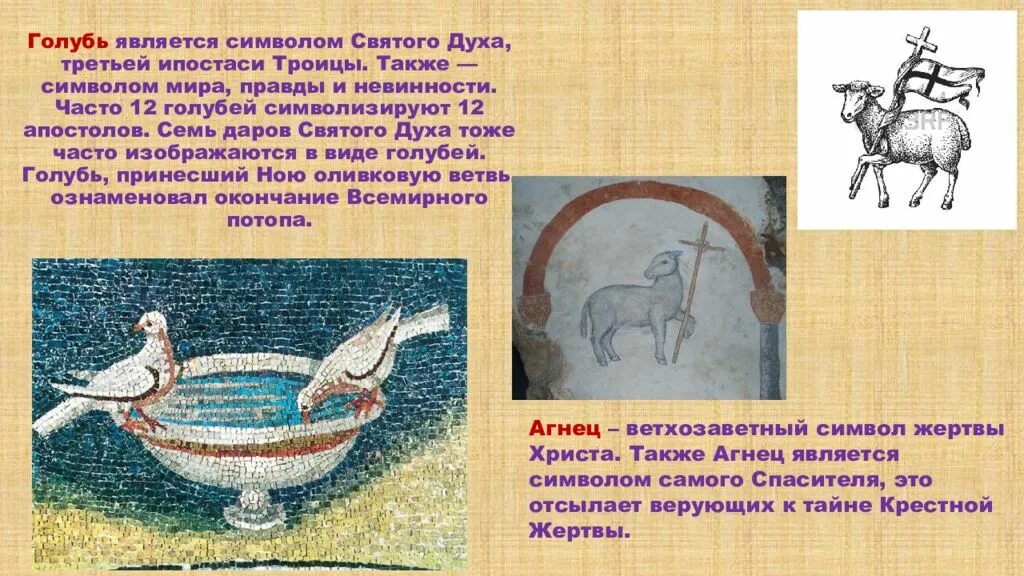 Символом чего являетесь 5