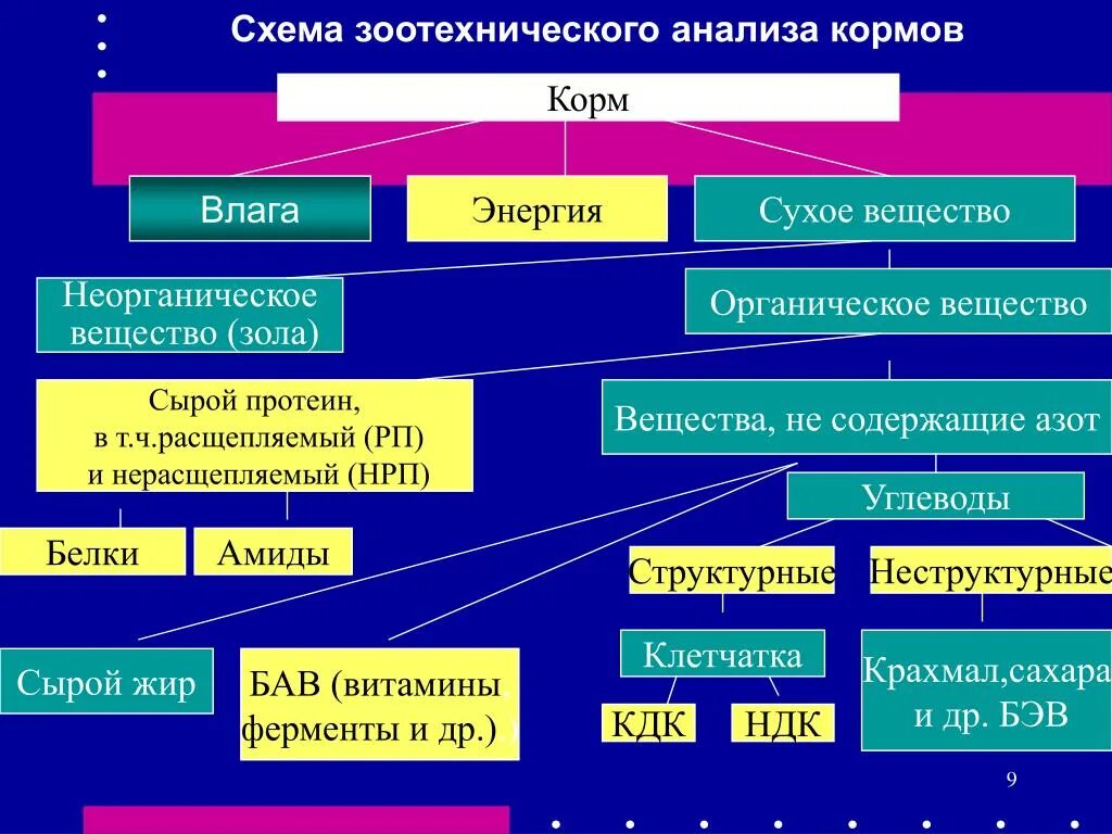 Какие основные способы подготовки кормов. Схема зоотехнического анализа кормов. Схема зоотехнического анализа химического состава кормов. Схема химического состава корма. Модифицированная схема анализа кормов.