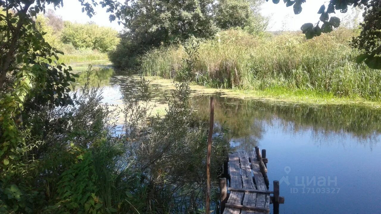 Участок новая усмань воронежская область. Село Орлово Новоусманского района Воронежской области. Орлово новая Усмань река. Село парусное Новоусманского района. С. горки Новоусманского района ул. Советская дом 7.