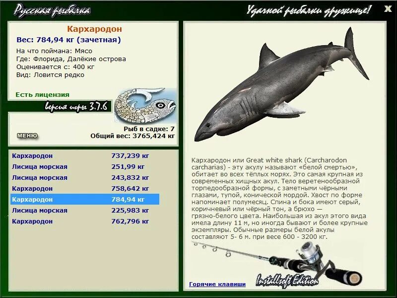 как можно назвать акулу