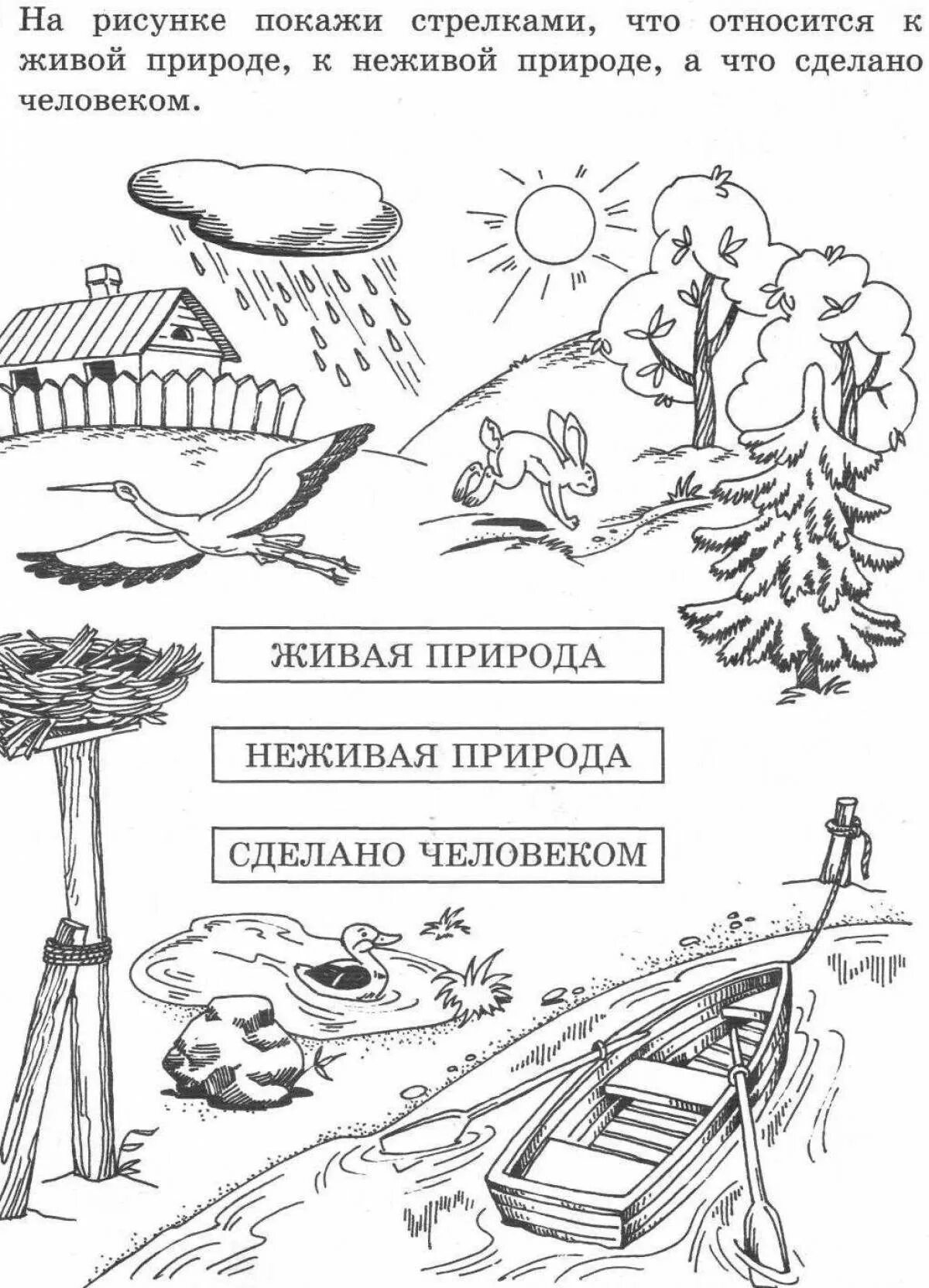 Окружающий мир раскрасить. Задания по окружающему миру 2 класс живая и неживая природа. живая и неживая природа 1 класс задания. живая и неживая природа задания для дошкольников. природа задания для дошкольников.