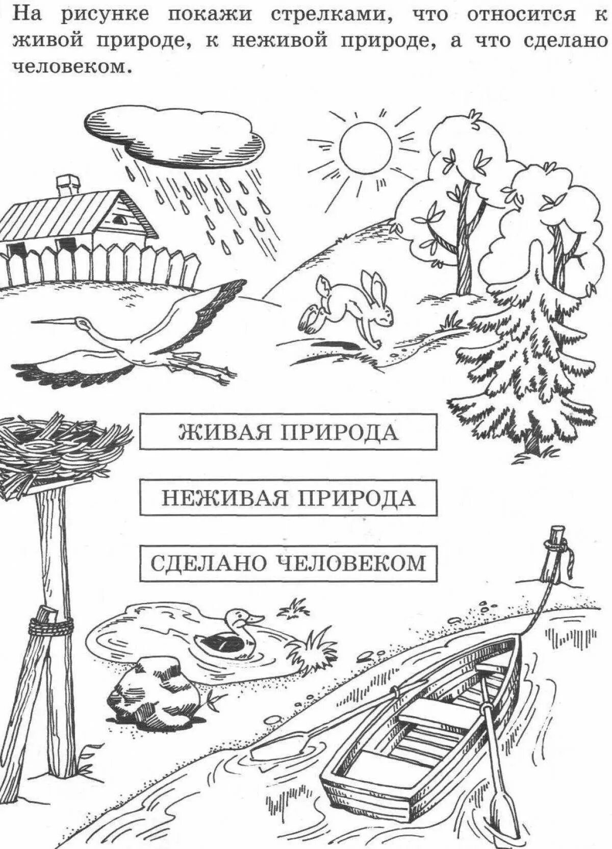 Раскраска окружающий мир 1 класс. Задания по окружающему миру Живая и неживая природа. Задания по окружающему миру 2 класс Живая и неживая природа. Живая и неживая природа 1 класс задания. Живая и неживая природа задания для дошкольников.