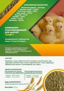 Комбикорм с первых дней