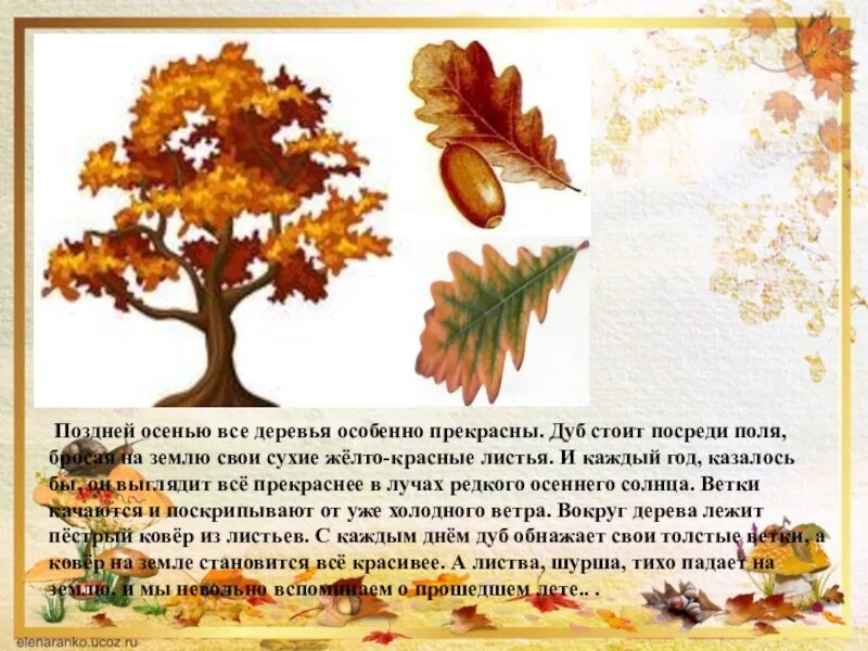 Слова из листьев деревьев