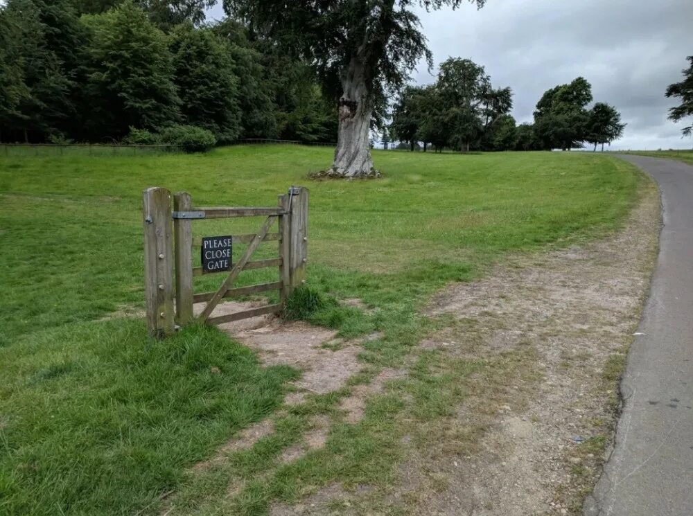 Желтый деревянный дом. Жить без забора. Палисадник из живой изгороди. Ворота в чистом поле. Бук лесной живая изгородь.