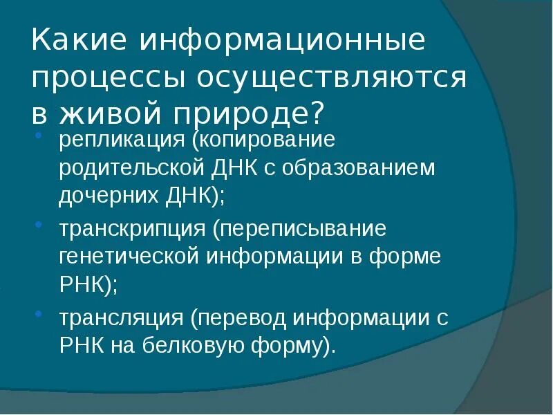 Приведите примеры информационных процессов в живой природе. Информационные процессы в природе. информация и информационные процессы в живой природе. информационный процесс в живой. информационные процессы в живой природе сообщение.