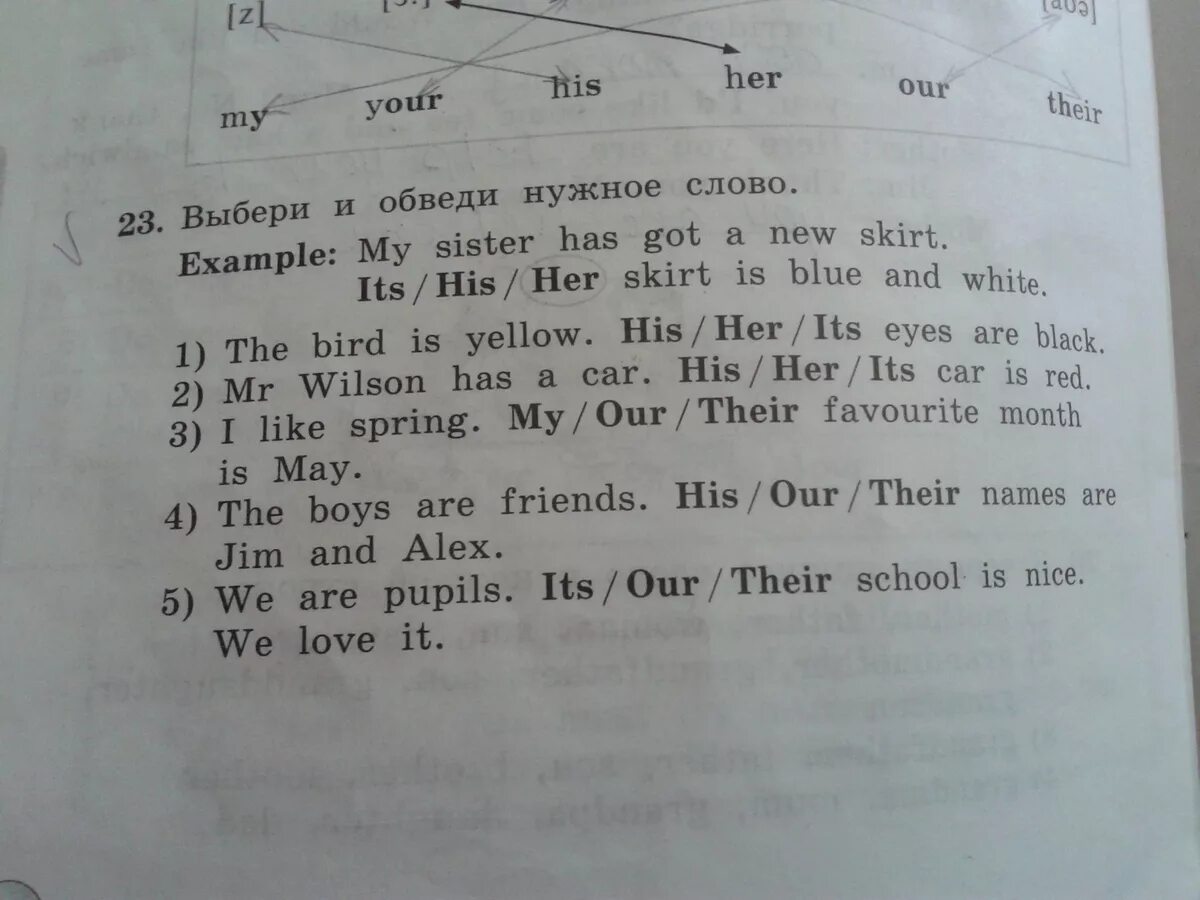 They did their homework yesterday. Выбери и обведи нужное слово. Выбери и обведи нужный глагол. Английский выбери и обведи нужное слово. Выбири и обвди нужны слова.