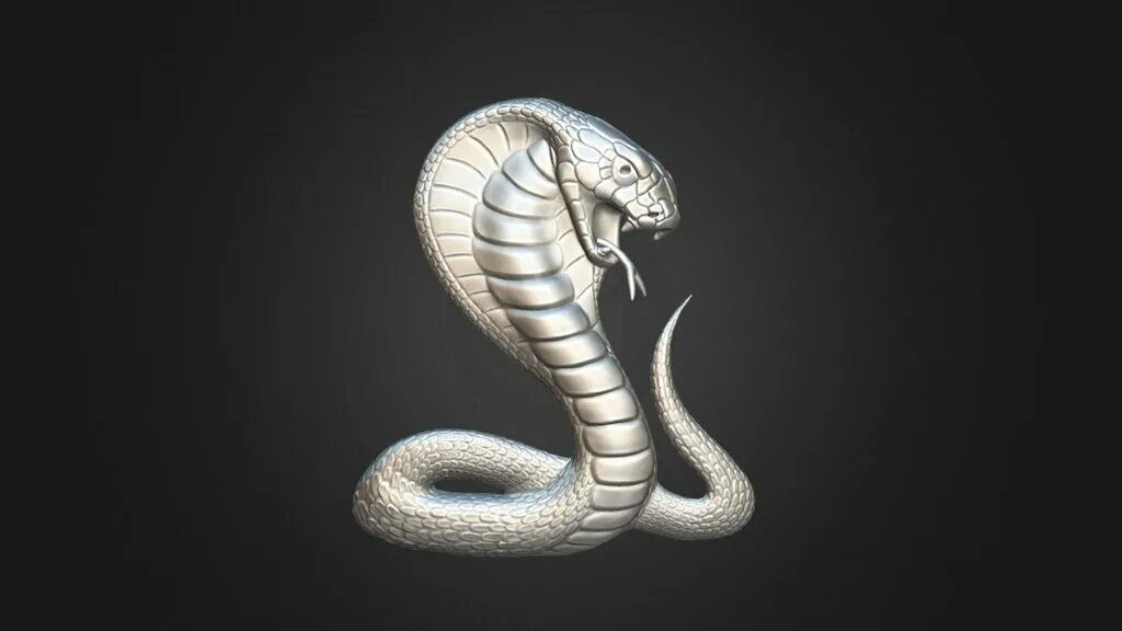 D snake. Cobra 3d model. Королевская Кобра фэнтези. Кобра референс. Кобра Zbrush.