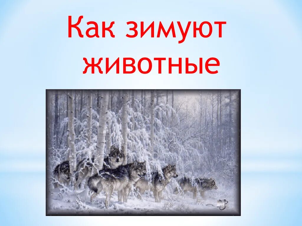 Как животные проводят зиму. Как зимуют животные. как зимуют дикие животные. как проводят зиму животные. надпись животные зимой.