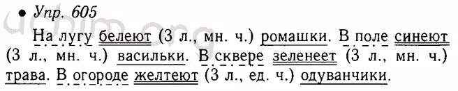 Упр 682 5 класс. Русский язык 5 класс 2 часть упражнение 605. Упражнение 605 по русскому языку 5 класс ладыженская 2 часть. Русский язык 5 класс 2 часть страница 97 упражнение 605. Русский 5 ладыженская 2 часть.