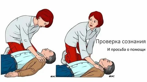 Помощь в проверках