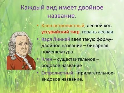 Двойные названия растений