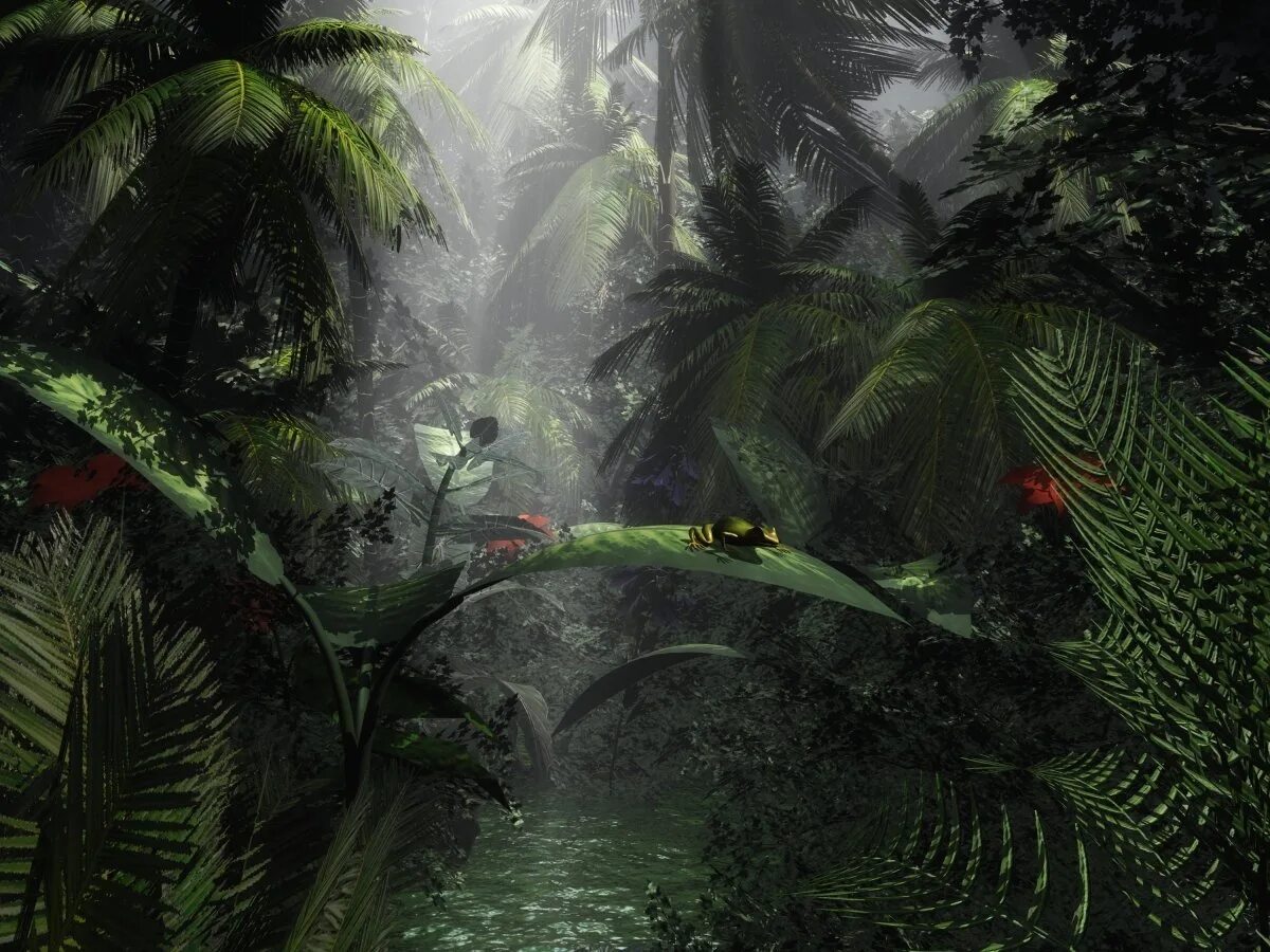 Jungle loop