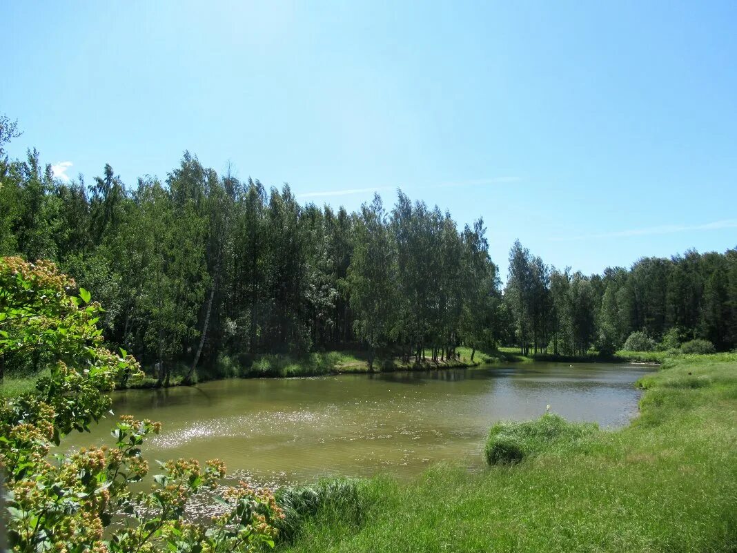 ржевский парк спб. река лапка. река лапка янино. река лапка. река лапка янино.