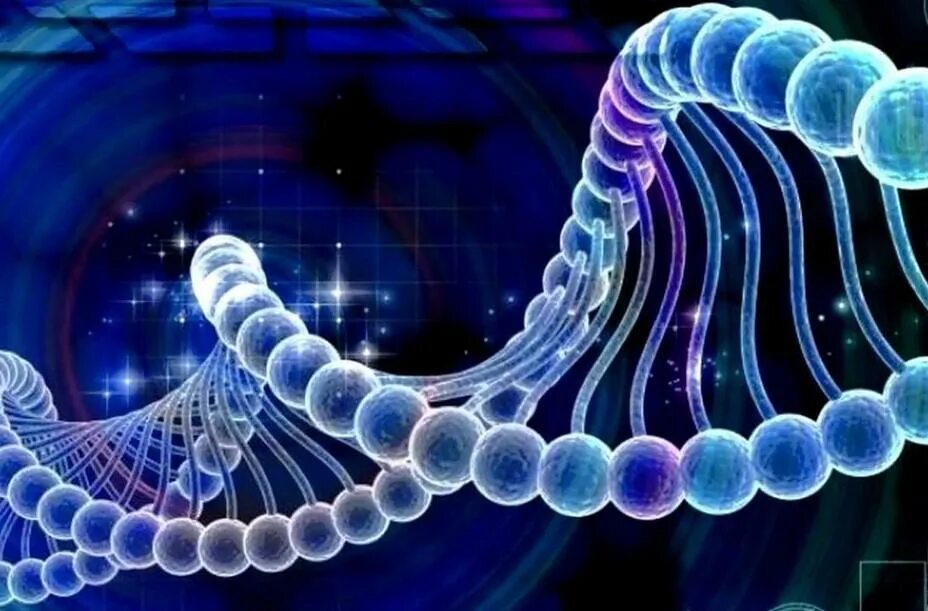 Структура днк и рнк. Репликация днк на прозрачном фоне. Технология редактирования генома crispr/cas9. Систем днк. Молекула днк.