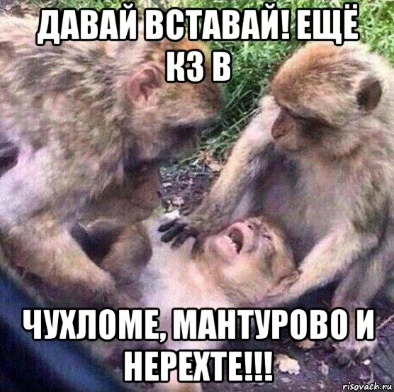 Ну вставай давай