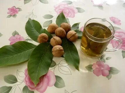 Экстракт грецкого