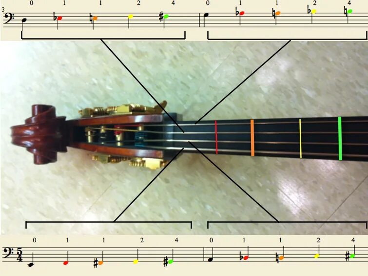 Строй скрипки. Скрипка Лады на грифе. Позиции на скрипке. Расположение струн на скрипке. Расположение нот на струнах скрипки.
