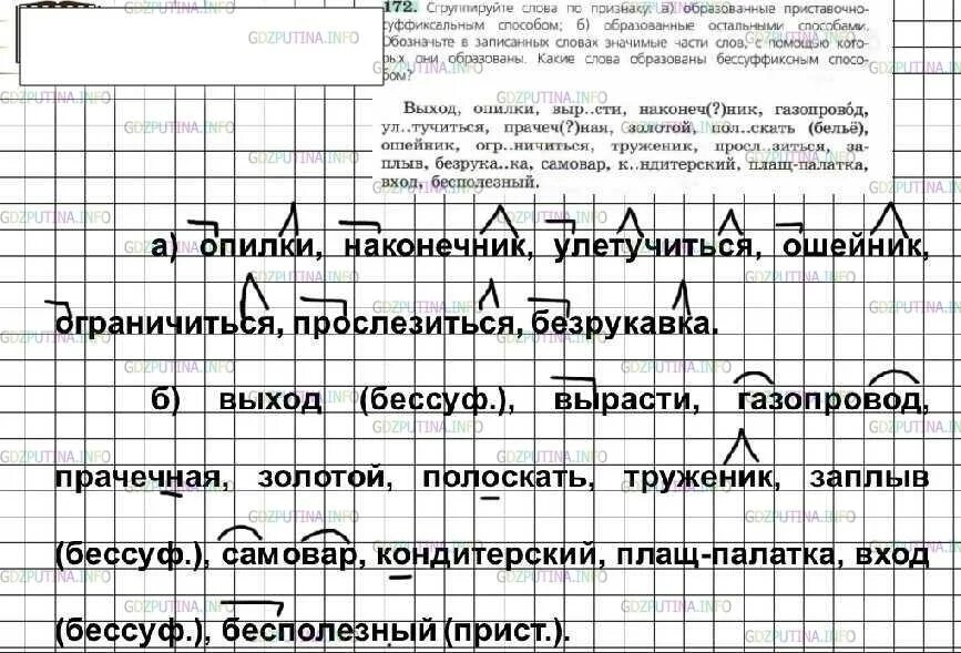 Ладыженская 6 класс 113. Русский язык 6 класс. Сгруппируйте слова. Русский язык 6 класс ладыженская 172.