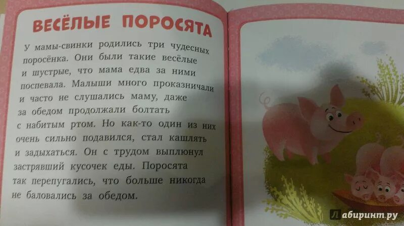 Рассказ свинки. Рассказ про поросёнка. Сказка про поросенка. Придумать сказку о поросятах. Короткая сказка про поросёнка.