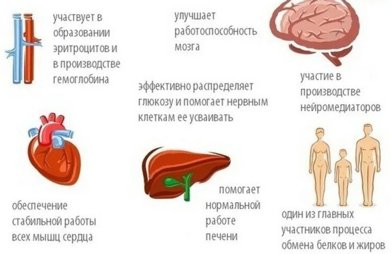 Недостаток б6