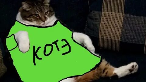 Мяу видео