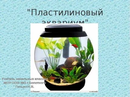 Проект аквариум