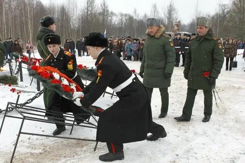 Сайт мо пискаревка