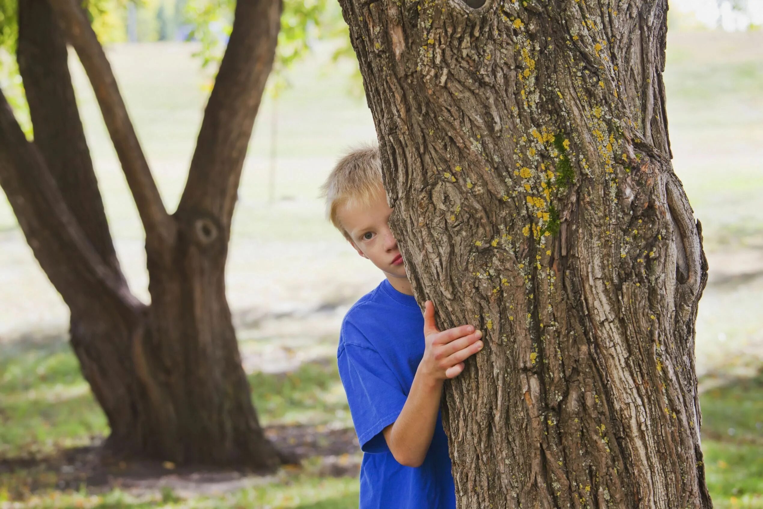 Прятки 1 выпуск. Человек спрятался за деревом. Прячется у дерева. Мальчик спрятался за дерево. Спрятался за деревом.
