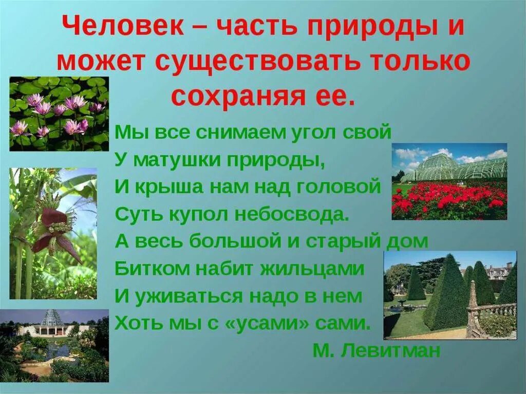 Сообщение о природе 2 класс окружающий мир