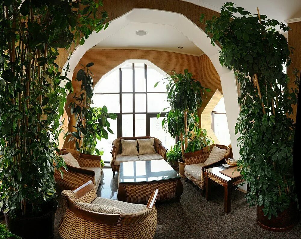 курортный проспект 102 сочи. гарден ринг отель москва. гарден ринг отель москва. гостиница садовое кольцо в москве проспект мира. Hotel v sadovaya москва.