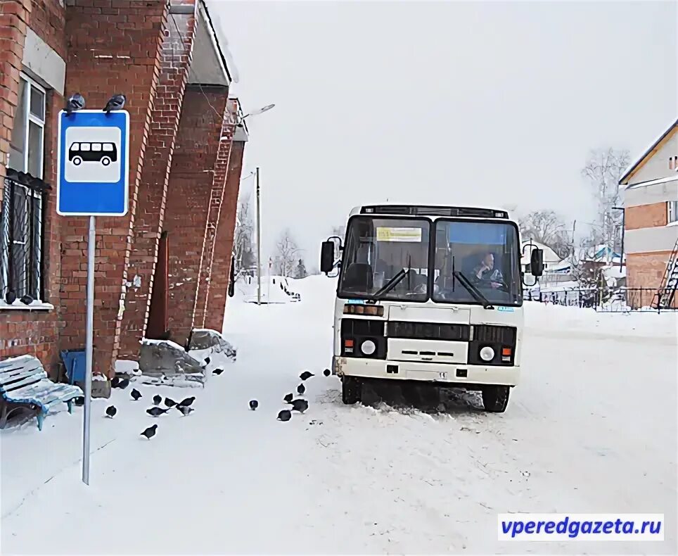 Расписание автобусов микунь айкино. Микунь Айкино. Автобус Микунь. Автобус Айкино. Автобус Микунь Айкино 2022.