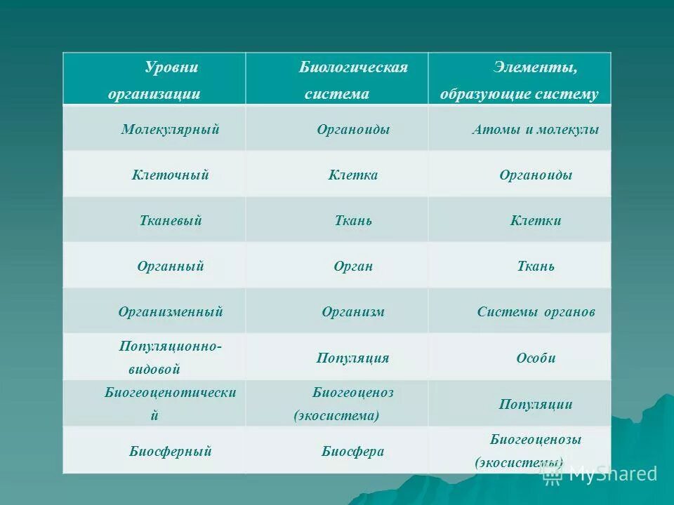 Элементы биологической системы начиная с наибольшего